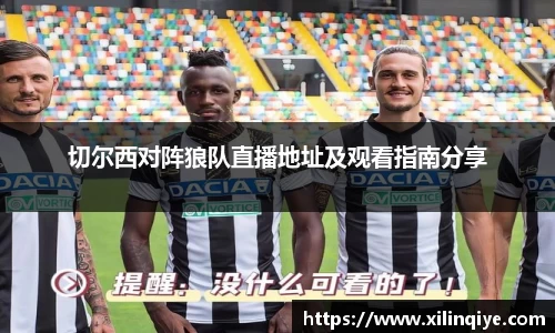 切尔西对阵狼队直播地址及观看指南分享